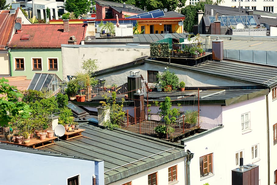 roof terrace, terrace, roof garden, garden, house roof, roof, live, leisure, recovery, human
