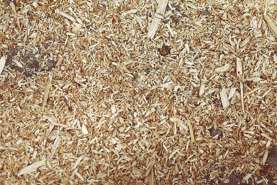 brown dried leaves, shredded wood, wood chips, mulch, sawdust, shreds, snippets, wooden, wood, texture