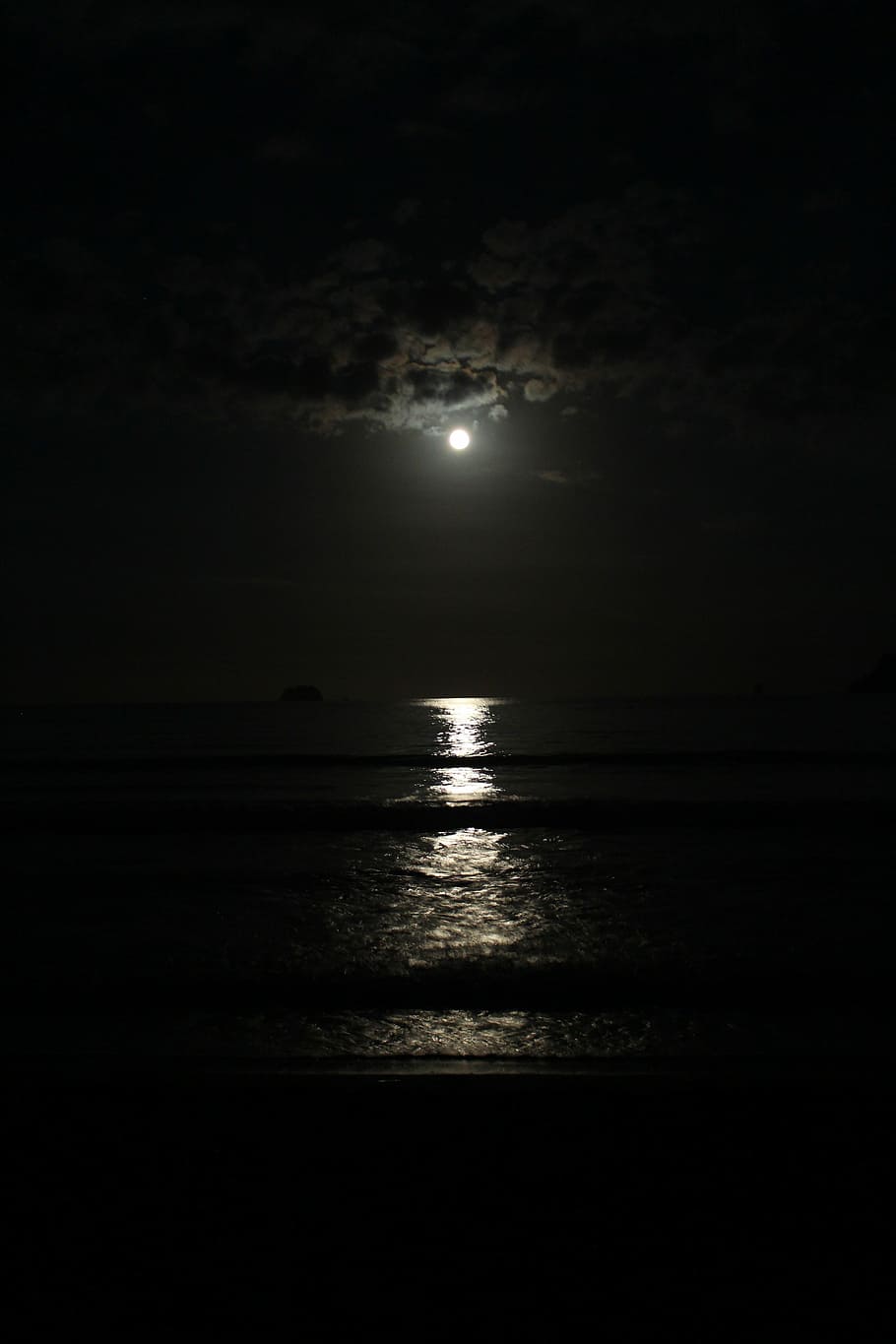 toma de fotos, orilla del mar, noche, foto, tiro, de noche, luna, ola, nueva zelanda, cielo