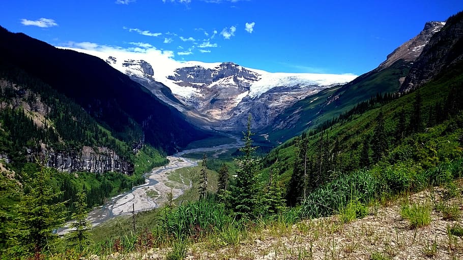 nature, mountain, travel, landscape, snow, glacier, columbia icefields, alberta, canada, forest