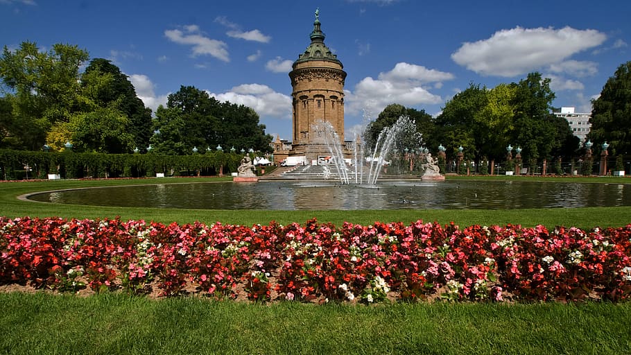 mannheim, water tower, flowers, fountain, plant, architecture, built structure, flower, travel destinations, flowering plant