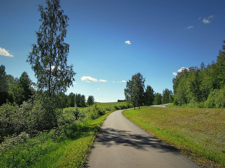 tohmajärvi, finnish, north karelia, trees, meadow, homestead, grass, eastern finland, countryside, in the land of