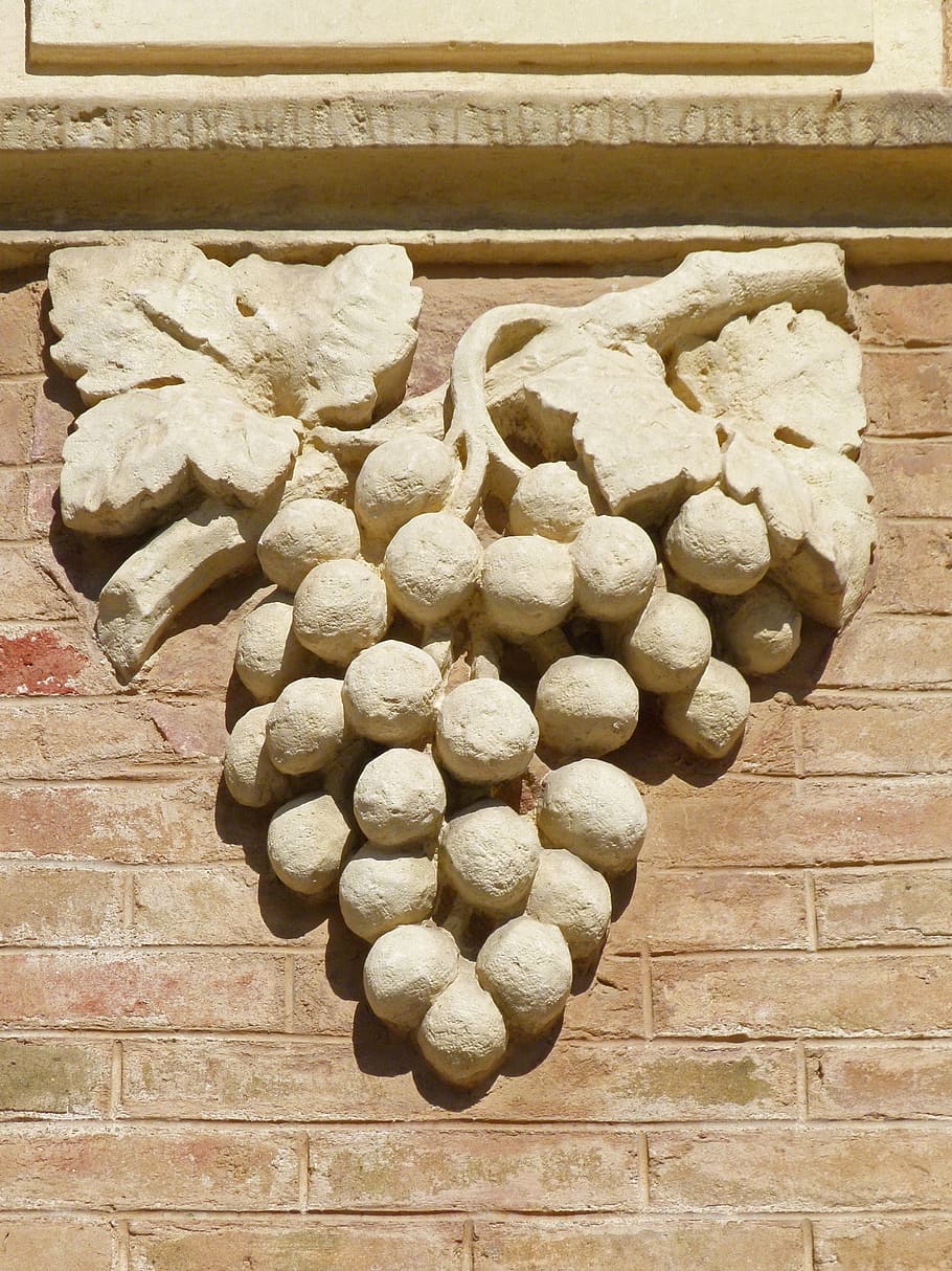 grapes, cluster, bas-relief, sculpture, carved stone, modernism, reus, food, vintage, large group of objects
