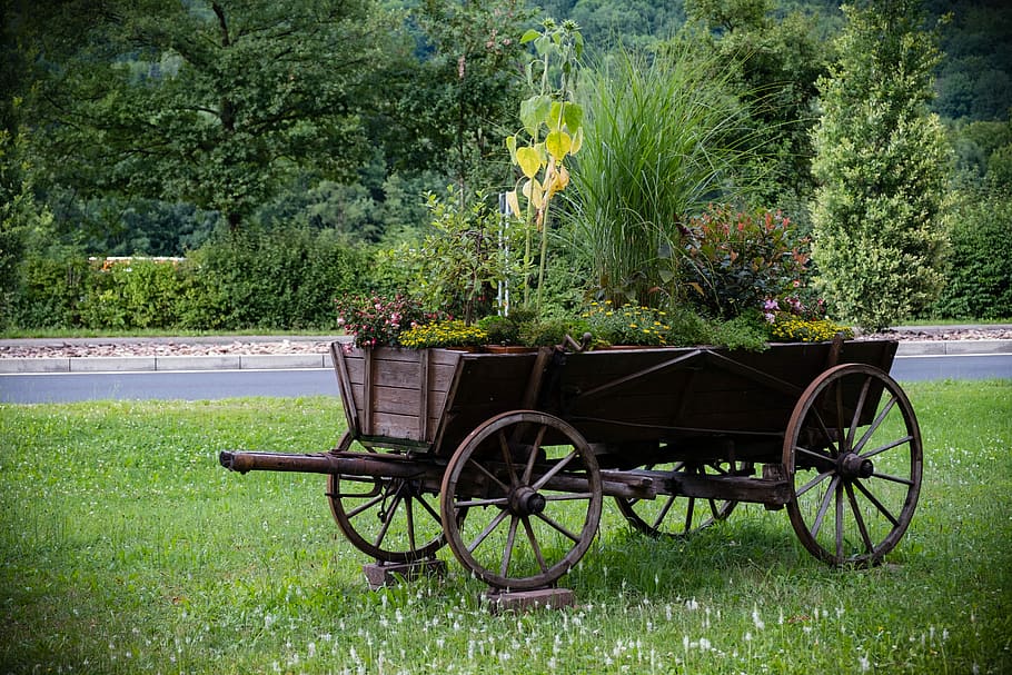 brown, wheelbarrow, filled, plants, Dare, Coach, Wheel, Wagon, horse drawn carriage, old