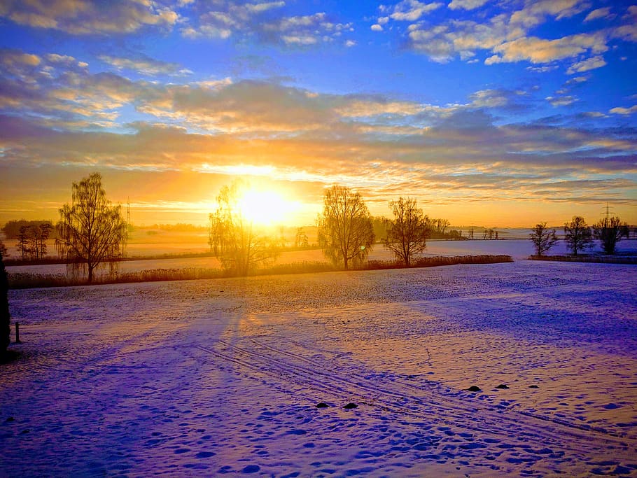 winter, sun, snow, landscape, nature, cold, tree, wintry, blue, snowy