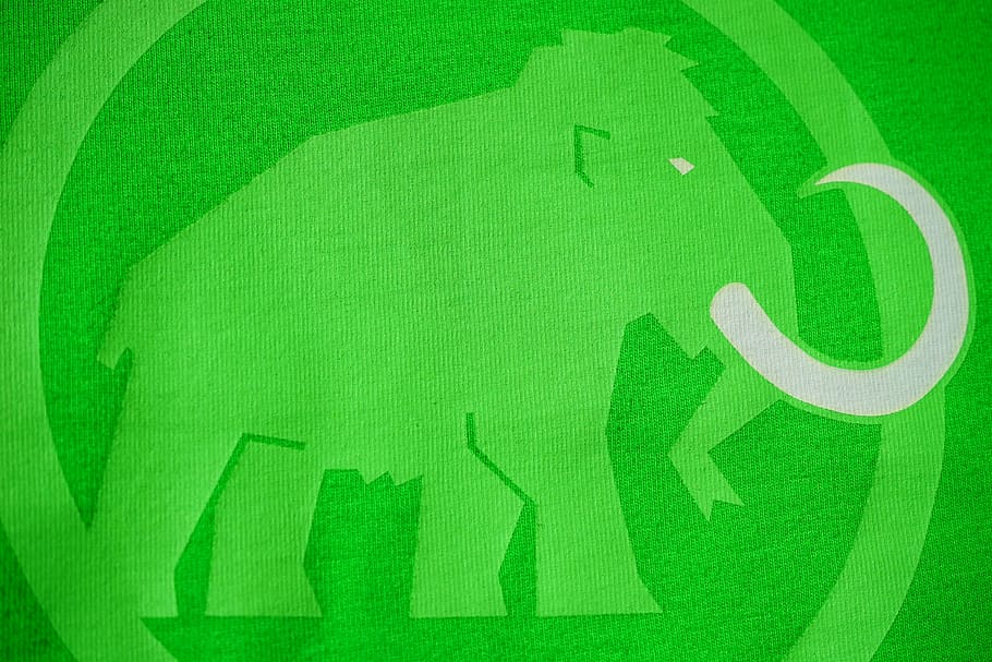 Mammoth, Logo, Brand, Green, Fabric, brand, green, elephant, close, tusk, printed on