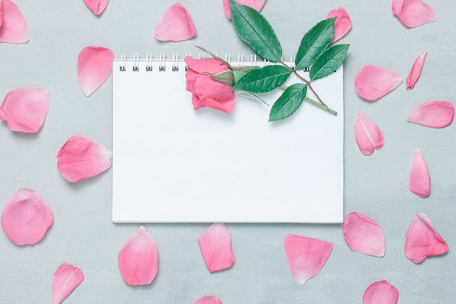 boda, cuaderno, romántico, flor rosa, diseño, mesa, floral, san valentín, rosa, día
