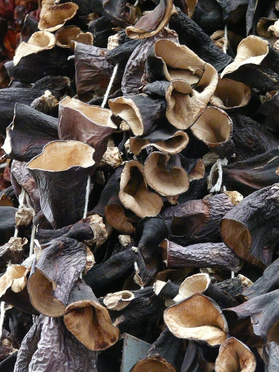 mushrooms, dried, judas ears, dried mushrooms, mu err, china morel, china mushroom, muh err, asia, preservation