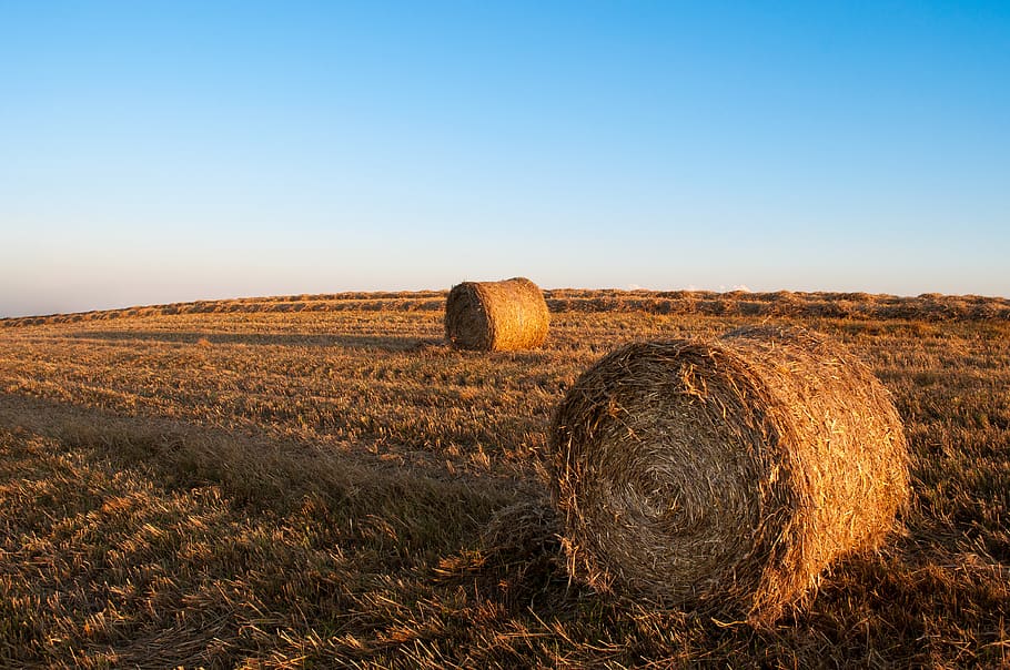 hay, bales, fields, farming, country, rural, harvesting, bale, landscape, field
