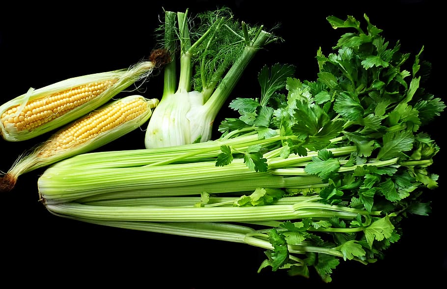 vegetables, celery, fennel, corn, fresh, vegetarian, cooking, vegetable, black background, food and drink