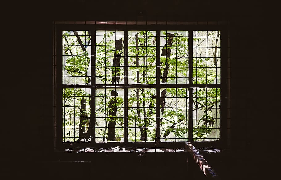 window, iron bars, prison, grill, dark room, alone, caged, branches, green, wood