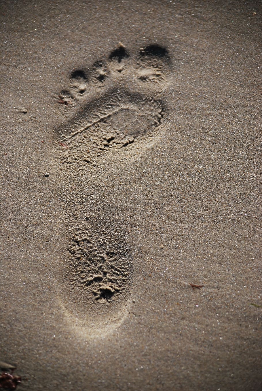 Footprint, Sand, Footstep, Beach, Human, paw print, animal track, track - imprint, land, print