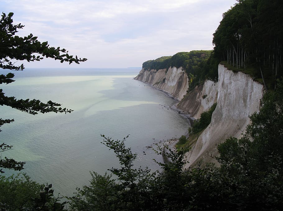 white cliffs, rügen, national park, jasmund, baltic sea, island, sea, coast, mecklenburg western pomerania, tree