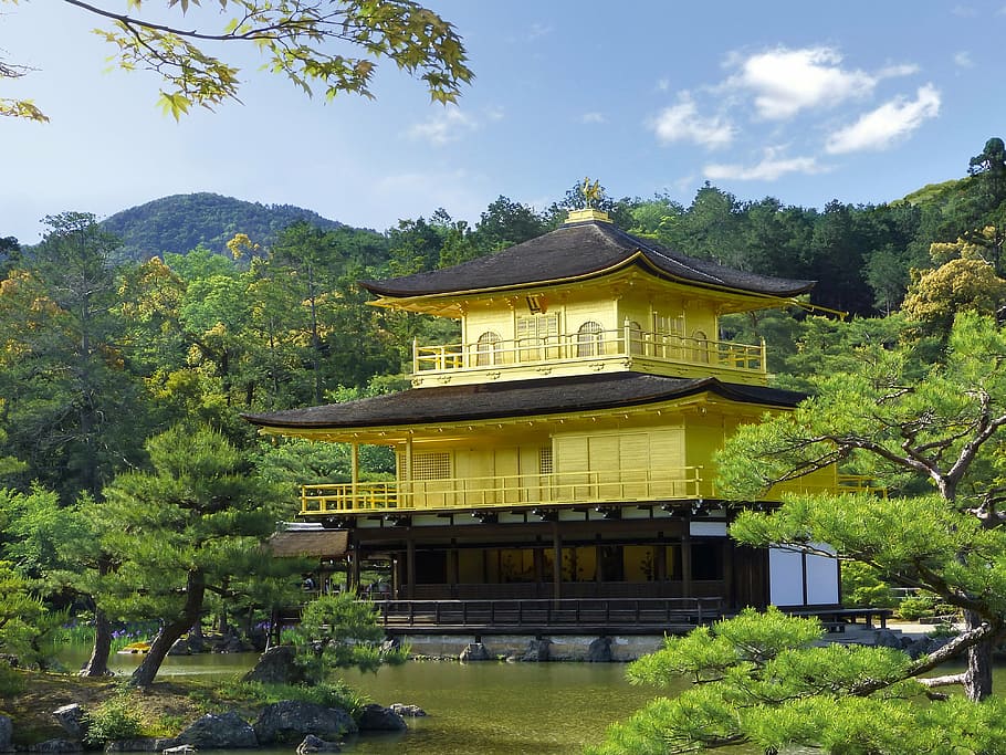 yellow, black, japanese house, japan, kyoto prefecture, kinkaku, golden pavilion, shrine, historic site, muromachi period