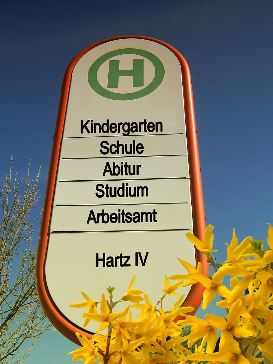 white, orange, green, street signage, Bus Stop, Road Sign, Kindergarten, stop, school, graduation