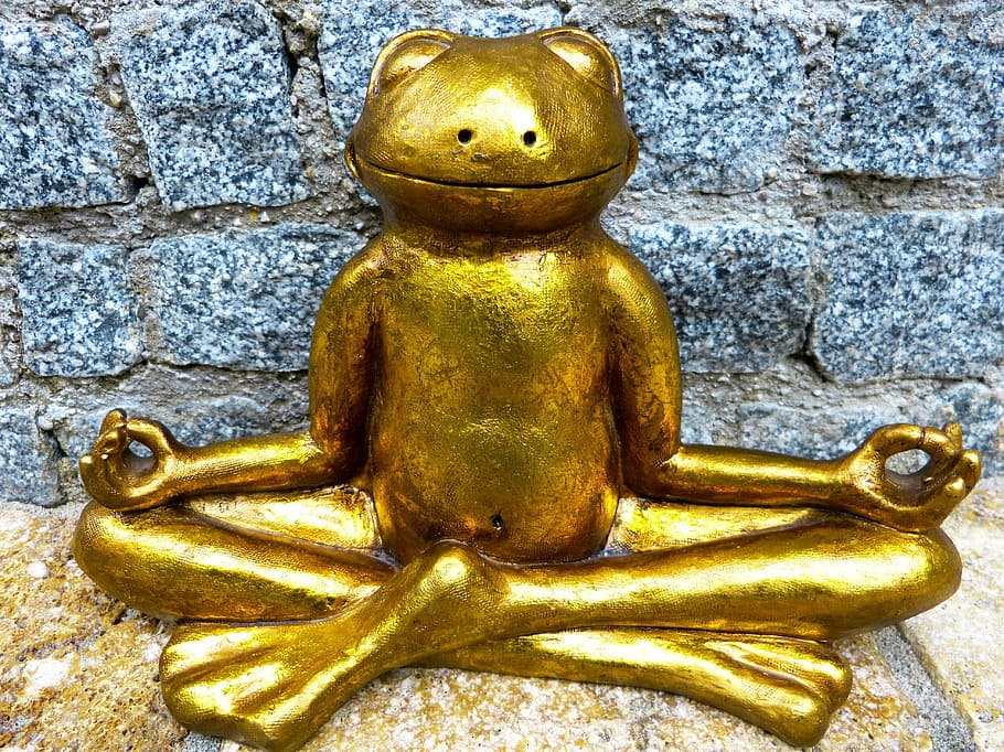 patung katak berwarna emas, relaksasi, meditasi, katak, emas, yoga, merasa di rumah, ketenangan batin, keseimbangan, bersantai