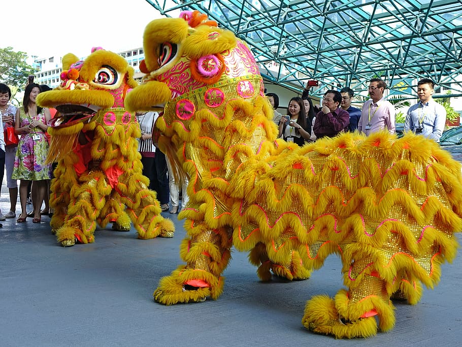tarian singa, Cina, tradisi, tahun baru, keberuntungan, menari, Asia, festival, pertunjukan, musim