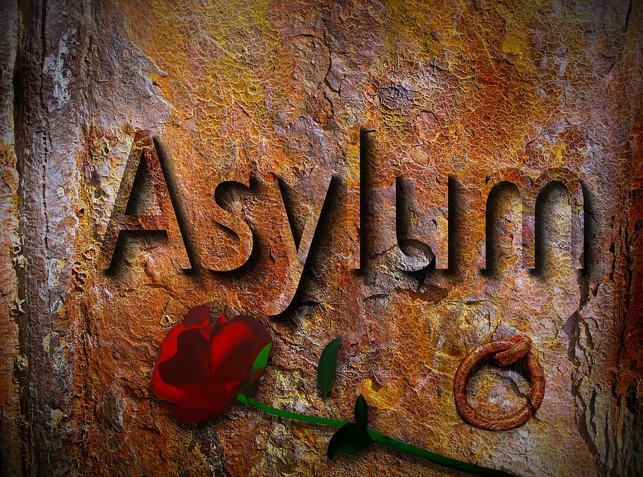 brown, beige, background, rose, overlay, asylum, refugees, tracking, help, protection