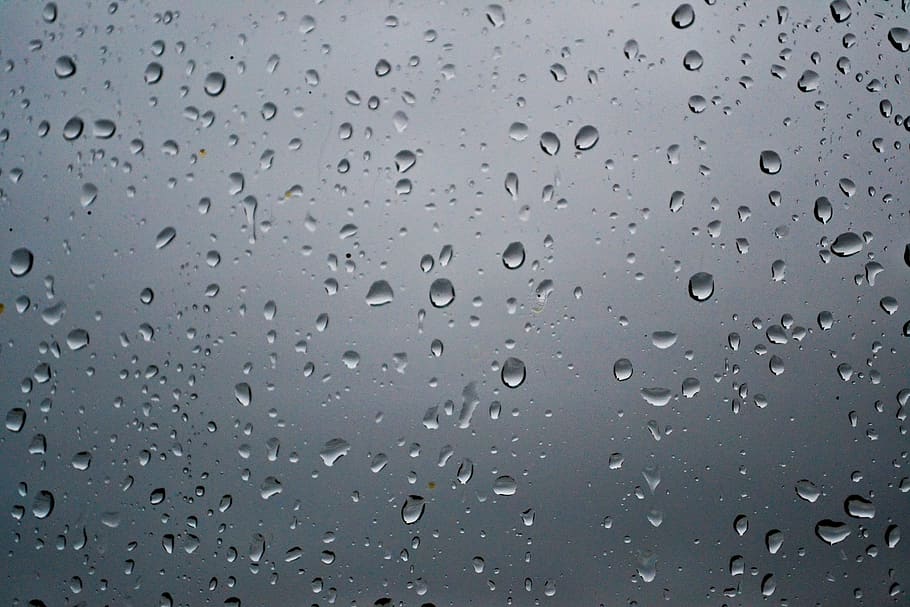 drop, rain, glass, grey, water, nature, wet, beaded, flower, drops