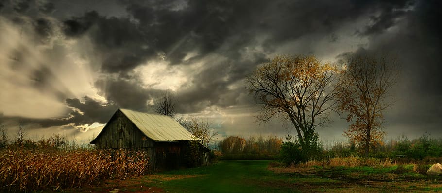 black, house, trees, cornfield wallpaper, clouds, dark, sky, atmosphere, country side, storm
