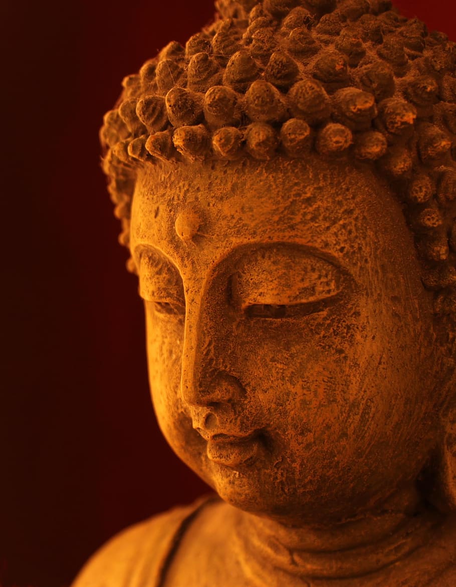 close-up photo, gautama buddha statue, wisdom, zen, meditation, buddhist, tranquility, face, statue, serenity