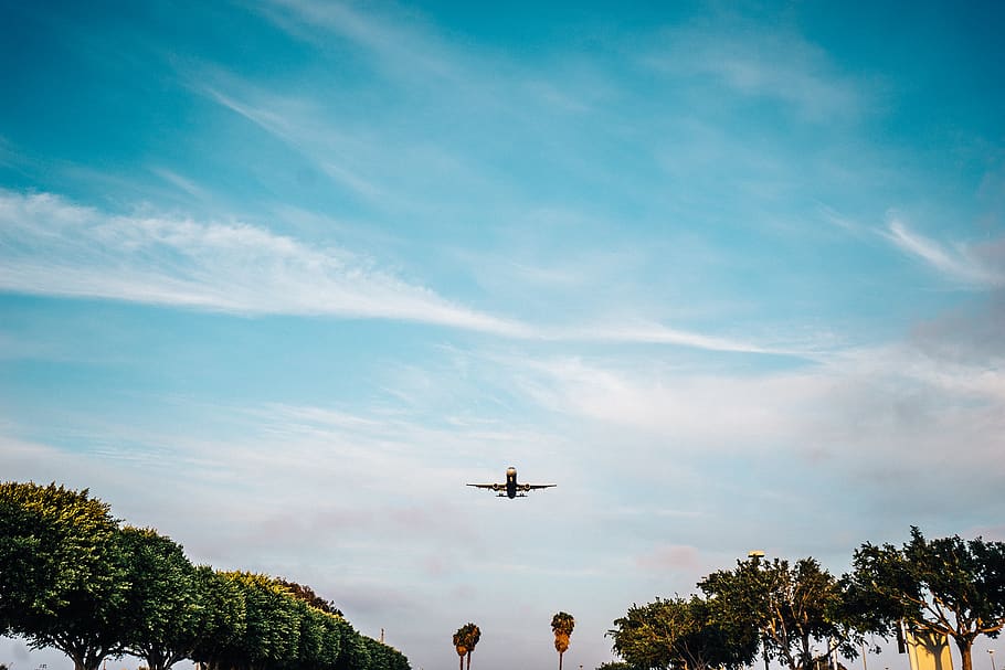 avião, decolagem, azul, céu, nuvens, viagem, transporte, ensolarado, veículo aéreo, árvore