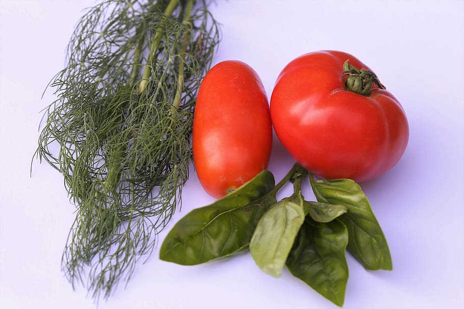 basil, tomatoes, dill, vegetarian, fresh, vegan, herbs, healthy, nature, vegetable