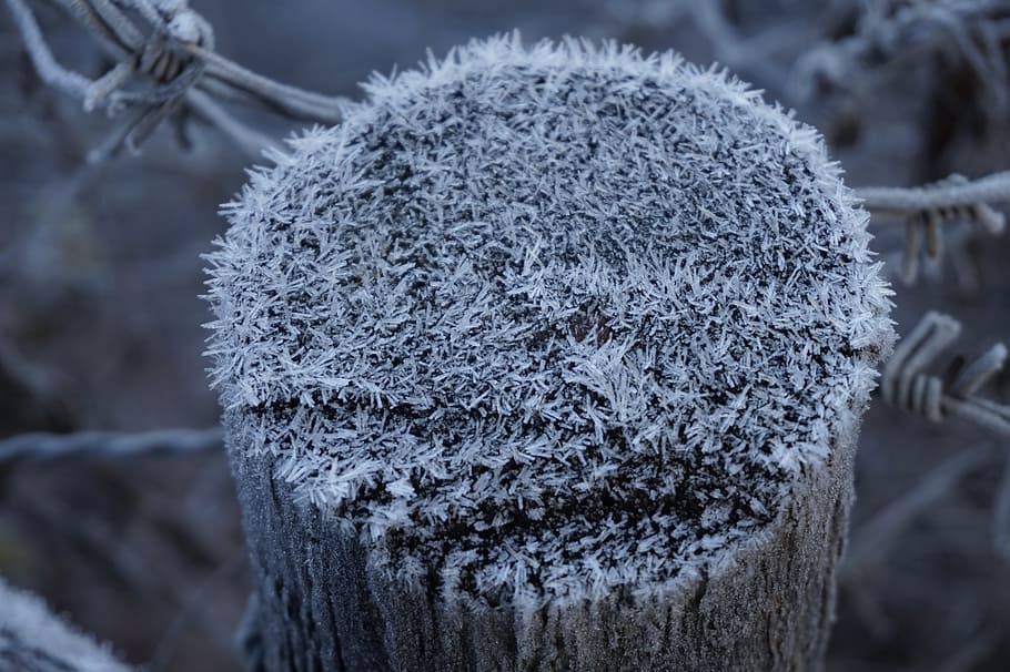 fence post, nature, winter, frost, cold, winter cold, winter magic, wintry, close-up, cold temperature