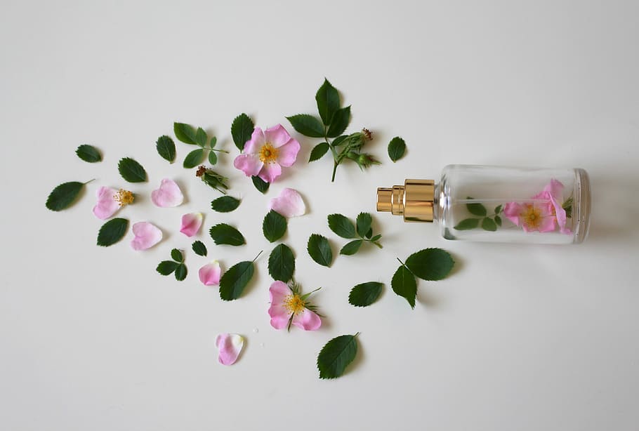 pink, rose, petals, green, leaves, clear, glass fragrance bottle, white, surface, scent of roses