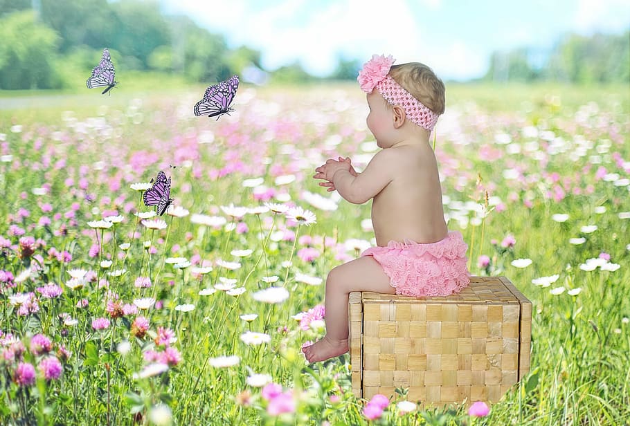 女の赤ちゃん, 座っている, 編まれた, ボックス, 芝生のフィールド, 囲まれた, ピンク, 白, 花, 赤ちゃん