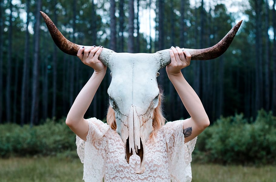 girl, holding, horned, animal skull, daytime, skull, horns, animal, head, woman