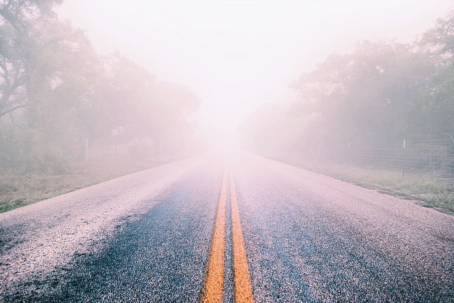 fog, mist, road, highway, winter, forest, trees, yellow lines, yellow, travel
