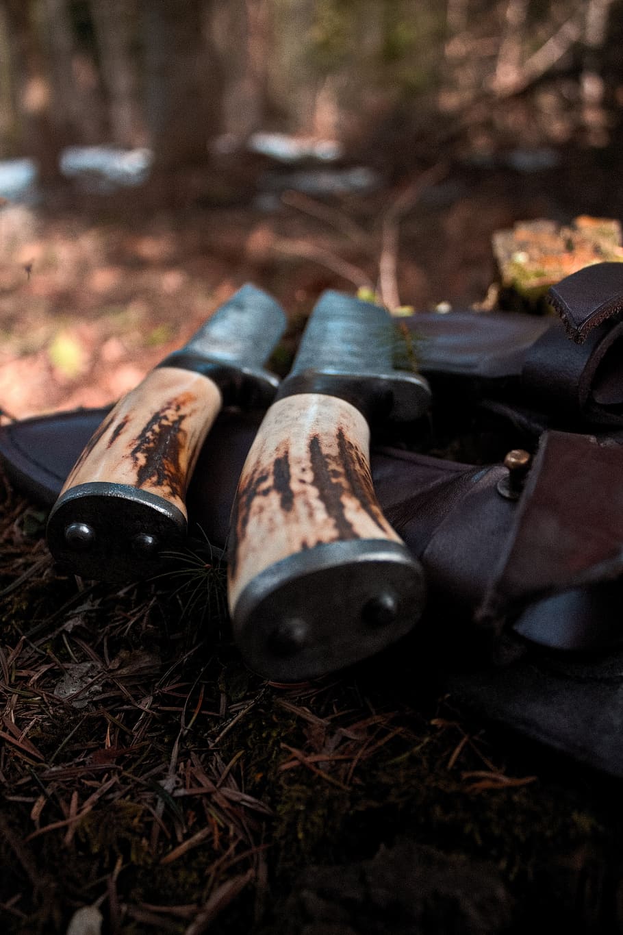 knives, brothers, forest, spring, nature, trees, wood - Material, selective focus, close-up, day