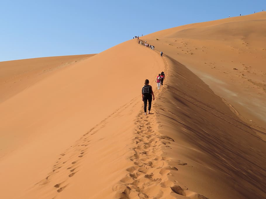 gente, caminando, duna, durante el día, grande, papá, namibia, desierto, ascensión, arena