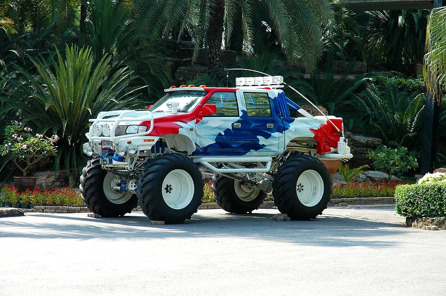 white, blue, red, monster truck, plants, All Terrain Vehicle, Offroad, noble, vehicle, land Vehicle