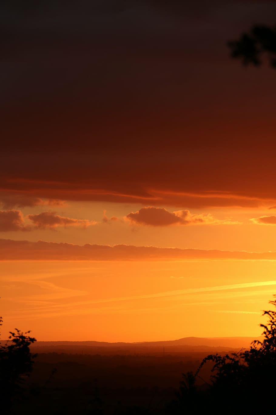 puesta de sol, Inglaterra, verano, Cotswolds, astuto, naranja, color naranja, silueta, pintorescos, naturaleza