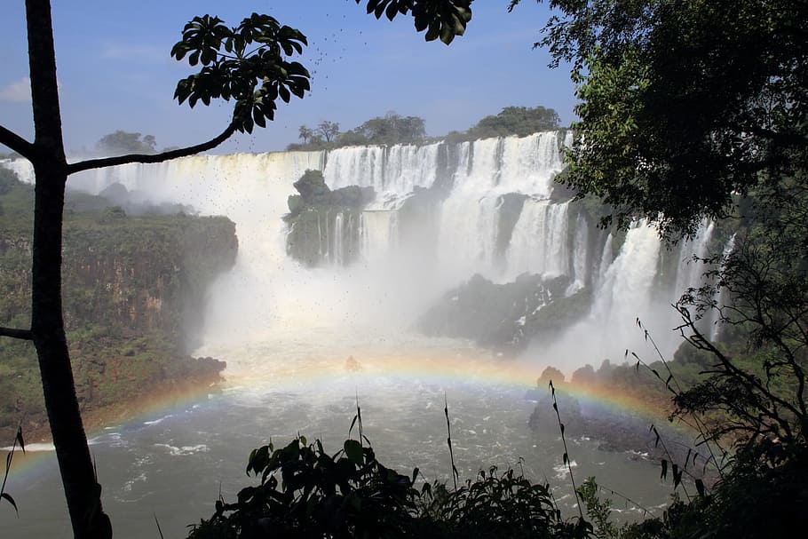 Cataratas del Iguazú, Iguazú, Argentina, agua, arco iris, naturaleza, cataratas, spray, patrimonio mundial de la unesco, árbol