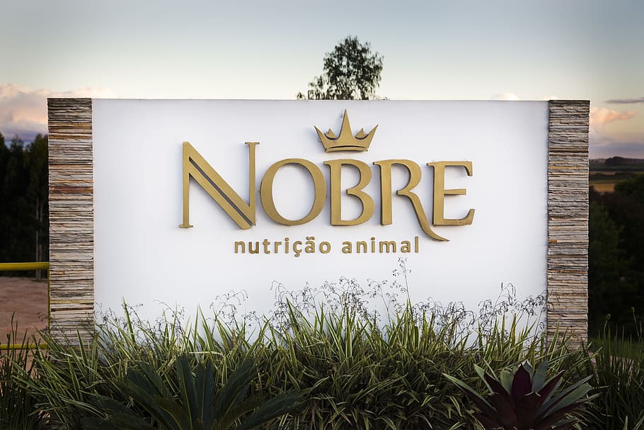 the noble animal nutrition, diets, silage, nutrition, corn, alfalfa, cotton seed, ryegrass, oats, wheat