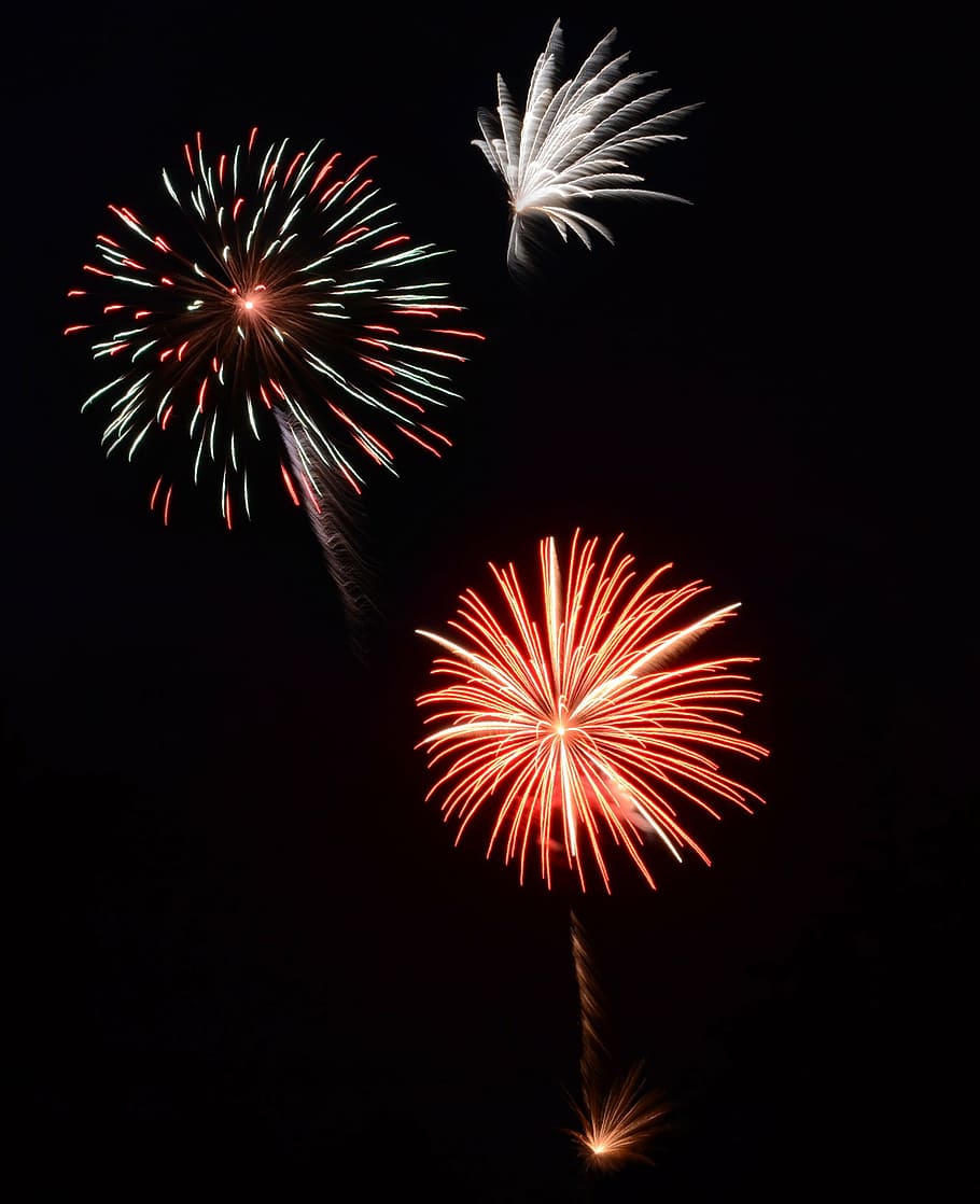 fogos de artifício fotografia, fogos de artifício, 4 de julho, independência, celebração, noite, explosão, feriado, américa, comemorar