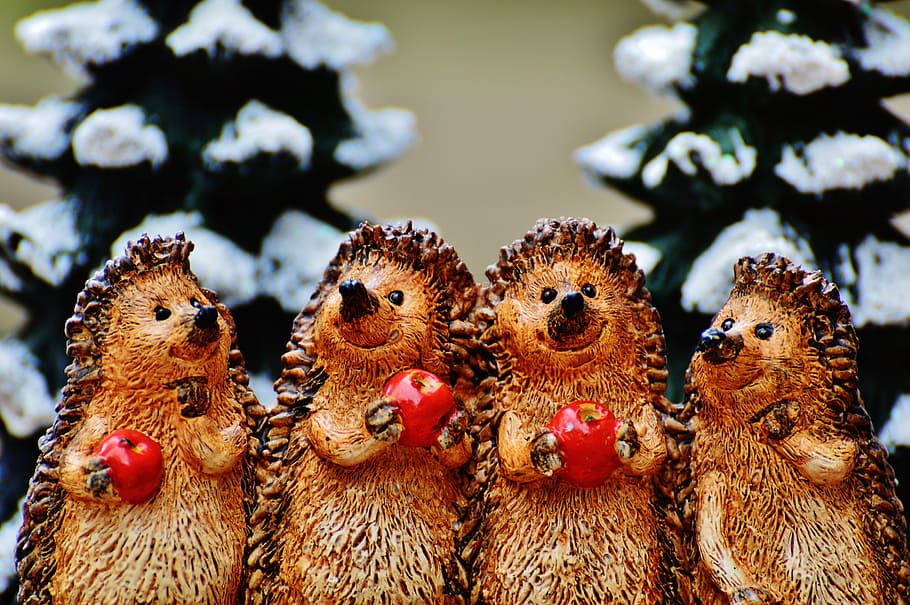 cuatro, marrón, figuritas de cuyes, invierno, erizo, manzana, lindo, dulce, figura, invernal