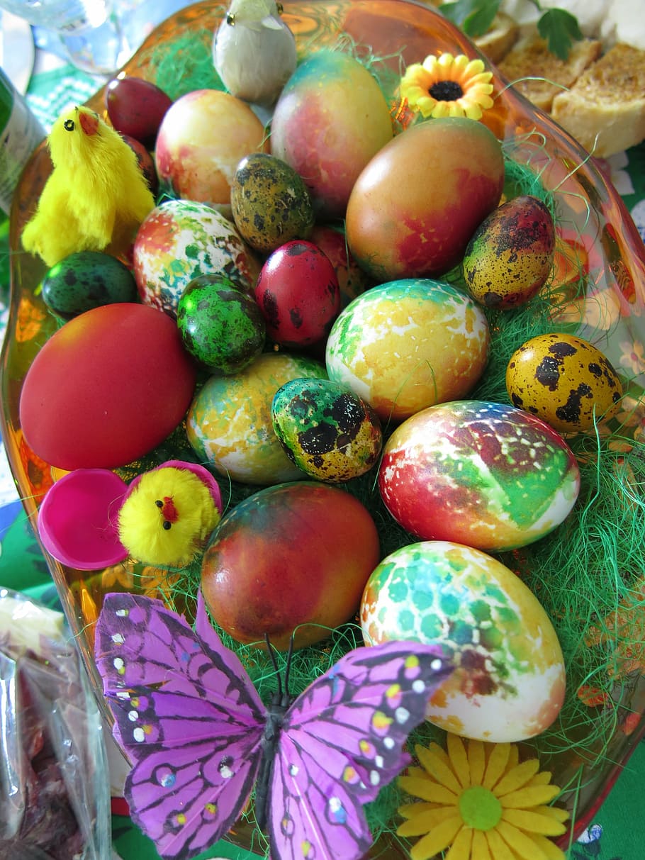 easter, eggs, chick, holiday, spring, easter egg, decoration, color, celebration, colorful