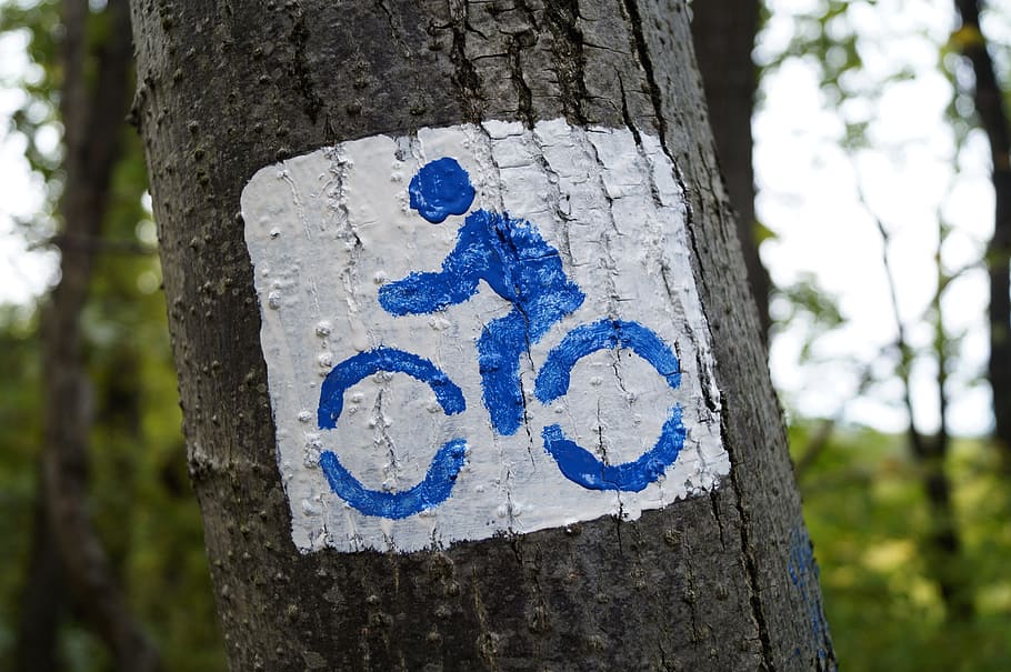 自転車レーンの道路標識, 自転車, 遠足, コーチ, ハイキングコース, 森林, 森林の自転車道, 木, 木の幹, トランク