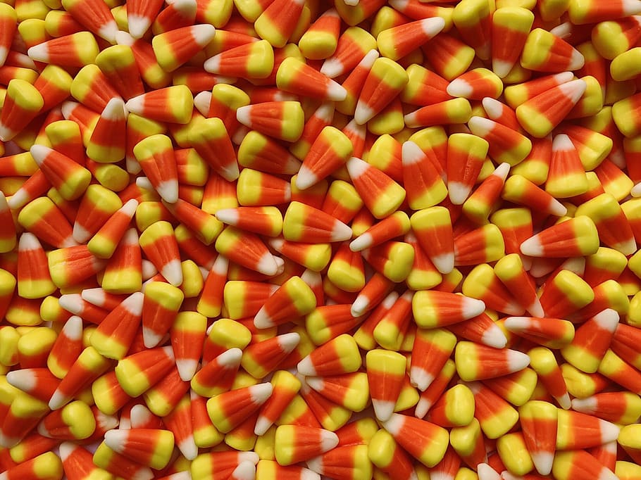 candy corn, candies, halloween, treat, sweets, seasonal, sugar, fall, full frame, backgrounds