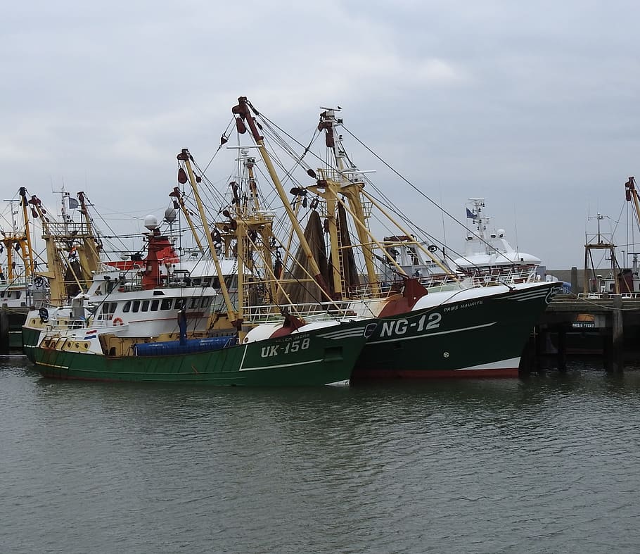 father and son, trawler, ship, fishing vessel, port, boot, harlingen, nautical vessel, transportation, water