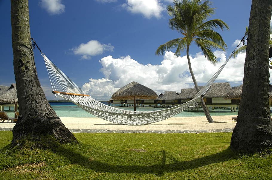 tempat tidur gantung di pohon, pantai, bungalow, awan, tempat tidur gantung, alam, lautan, pohon-pohon palem, laut, langit