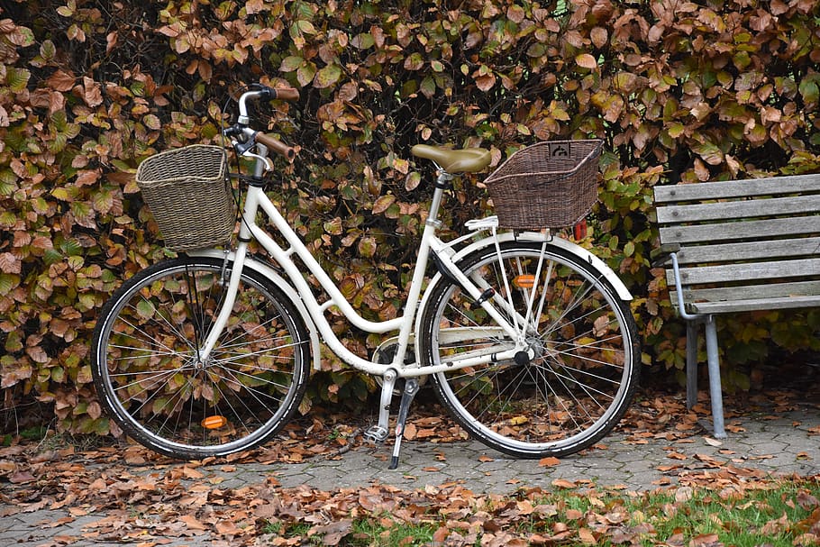 autumn, bike by bench, hyggestemning, pause, bike, natural, park, bike ride, summer, city