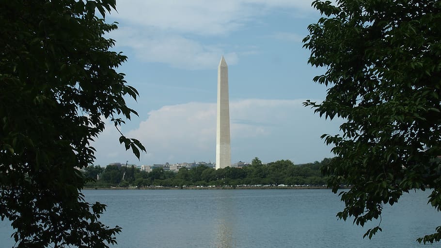monument, washington, washington dc, america, obelisk, places of interest, usa, washington monument, tree, water