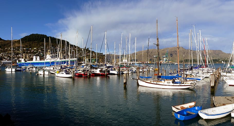 Dampier, Bay, Marina, Lyttleton, sailboats, sea, water, daytime, nautical vessel, transportation