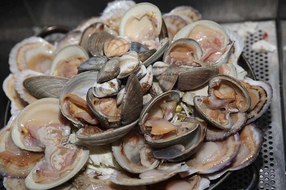 grilled shellfish, clam, lily, food, food and drink, seafood, shell, freshness, oyster, healthy eating