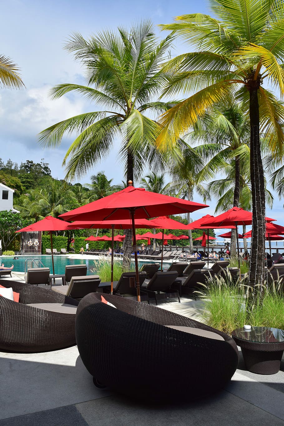 Hotel, Pohon Kelapa, Laut, Kolam, pohon palem, iklim tropis, resor wisata, liburan, pantai, hotel mewah
